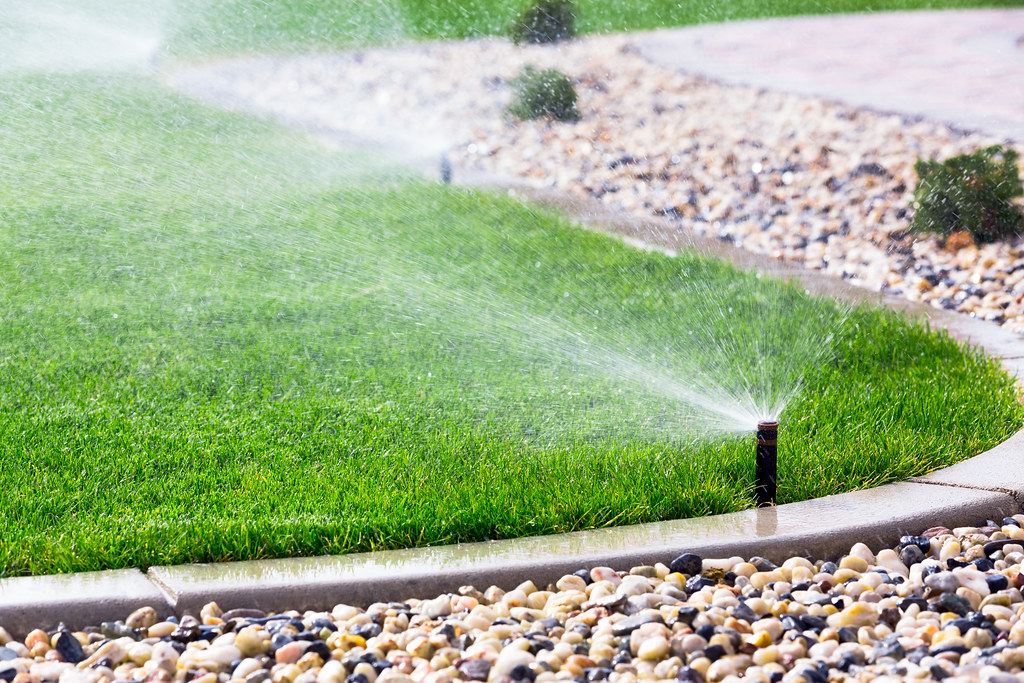 Pop-up sprinklers watering a manicured lawn bordered by decorative rock