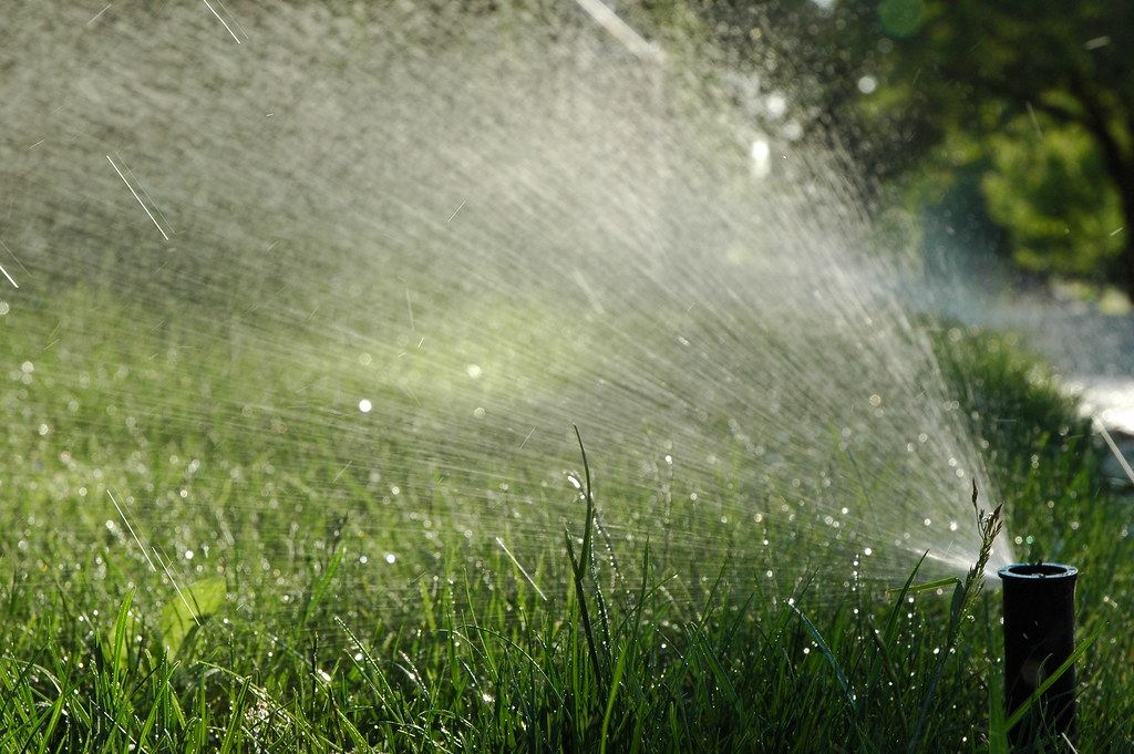 An in-ground sprinkler head watering a healthy green lawn