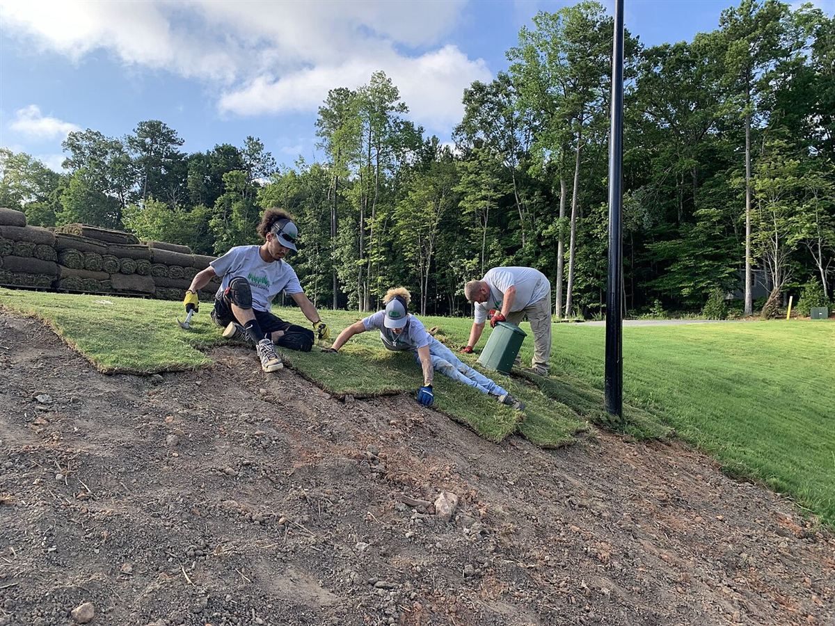 A crew laying fresh rolls of turf to create a new lawn